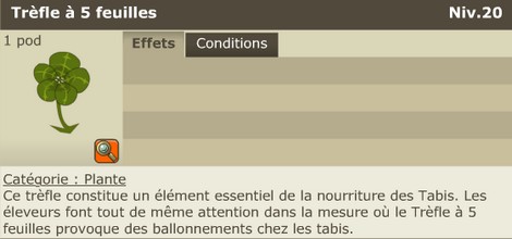 Treflle 5 feuilles
